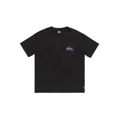 Quiksilver Take Us Back Logo Ss EQYZT07654-12814 Gri Tişört