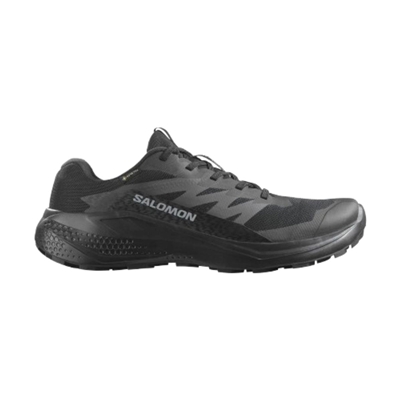 Salomon Alphaglide Gtx L47802100 Siyah Koşu&Yürüyüş Ayakkabısı