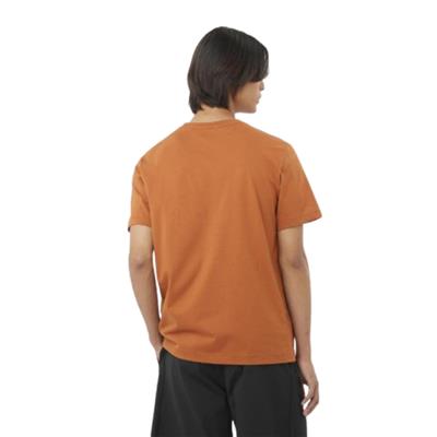 Salomon Salomon Bıg Logo Tee M LC2527100 Turuncu Tişört