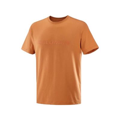 Salomon Salomon Bıg Logo Tee M LC2527100 Turuncu Tişört