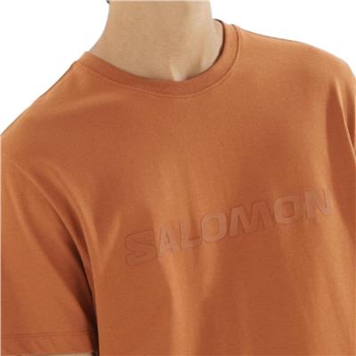 Salomon Salomon Bıg Logo Tee M LC2527100 Turuncu Tişört