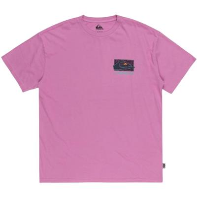 Quiksilver Spin Cycle Ss EQYZT07653-PMP0 Mor Tişört