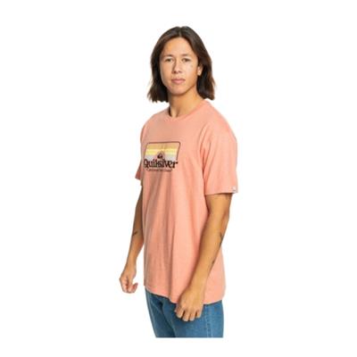 Quiksilver Step Inside Ss EQYZT07678-MJR0 Kahverengi Tişört