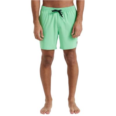 Quiksilver Surfsılk Solıd Volley 16 EQYJV04118-GGJ9 Yeşil Şort