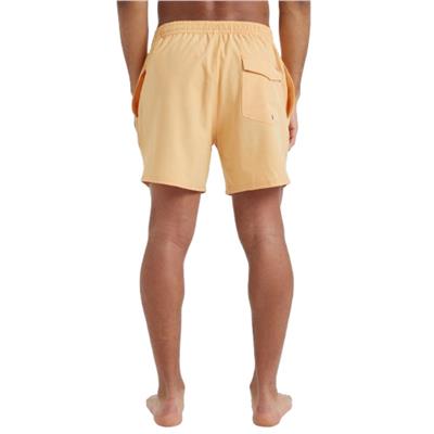 Quiksilver Surfsılk Solıd Volley 16 EQYJV04118-NGR0 Sarı Şort