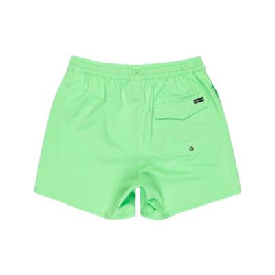 Quiksilver Surfsılk Solıd Volley 16 EQYJV04118-GGJ9 Yeşil Şort