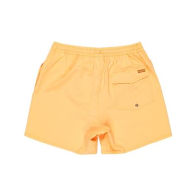 Quiksilver Surfsılk Solıd Volley 16 EQYJV04118-NGR0 Sarı Şort