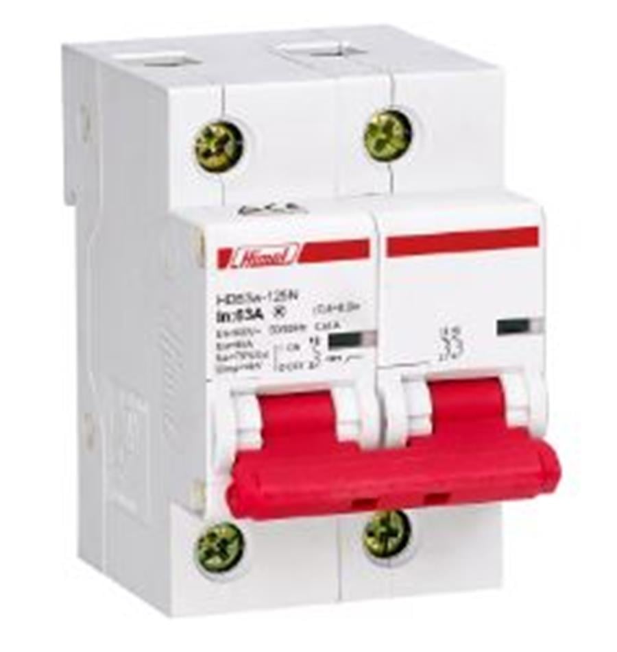 HİMEL HML-HDB3w125H2C100 2 Kutup 10kA C Tipi 100A Otm.Sig.