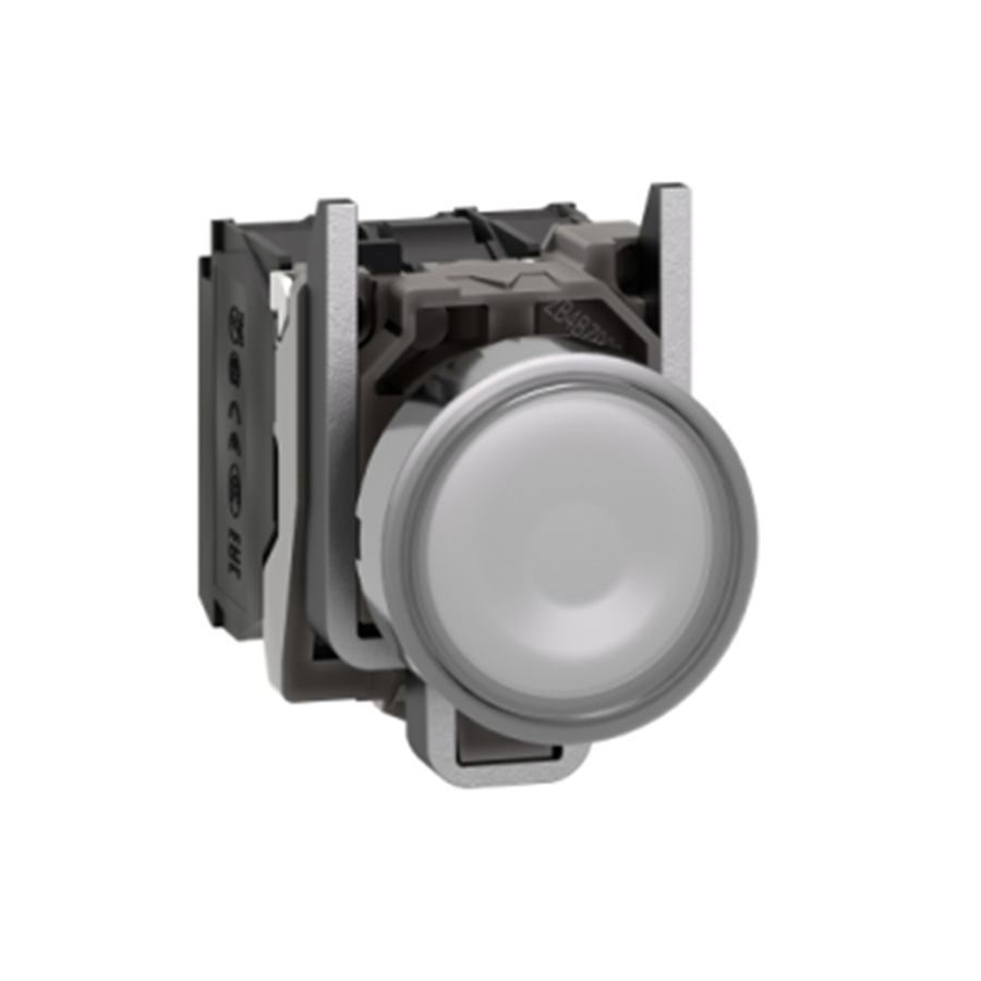 SCHNEIDER SCHXB4BW31B5 ILLUMINATED PUSHBUTTON