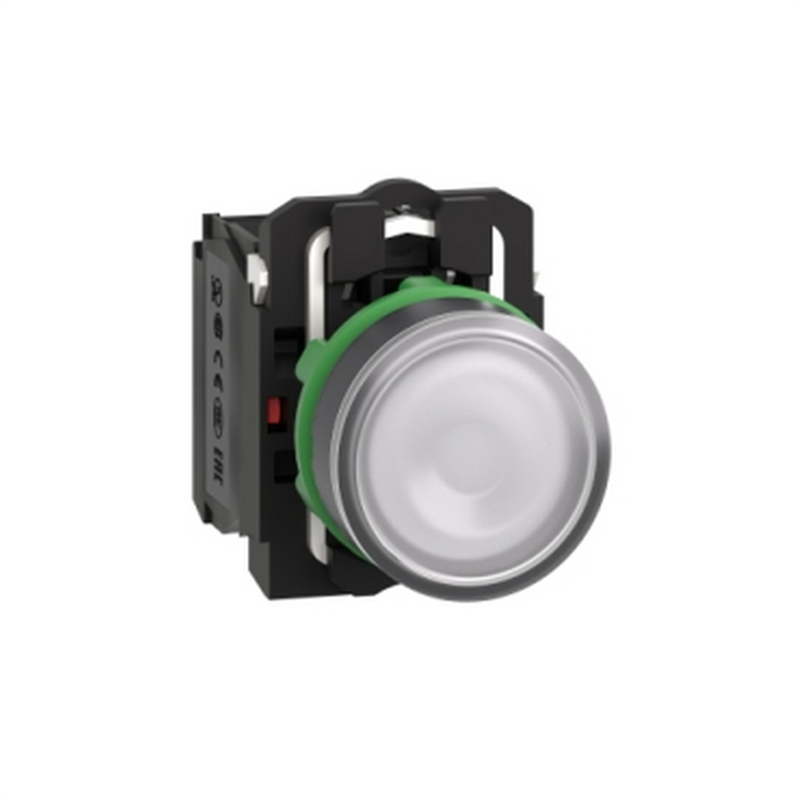 SCHNEIDER SCHXB5AW31M5 220V ILLUMINATED PUSHBUTTON