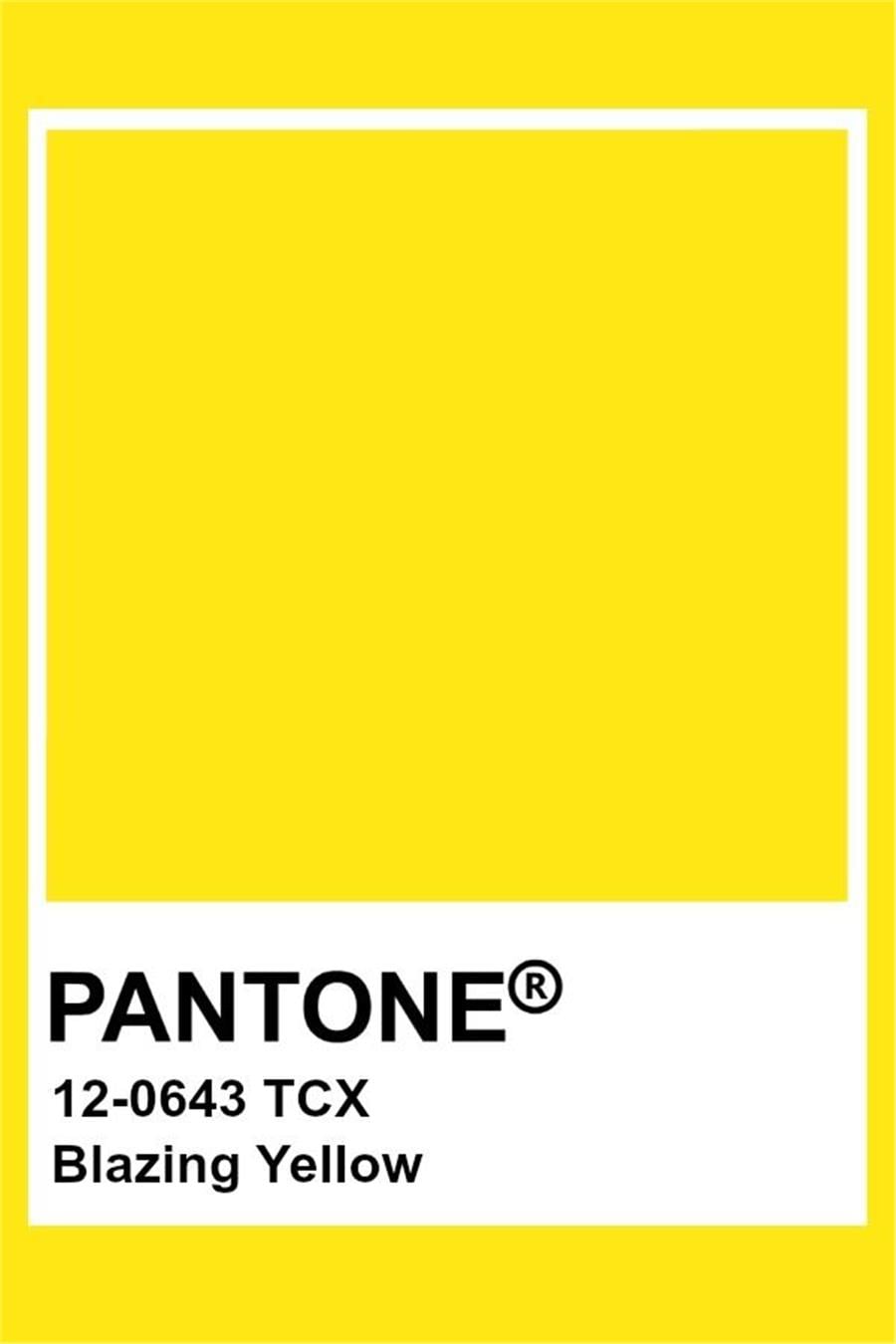 BRADY BRD-Y6088 YELLOW VINLY 1.0X50