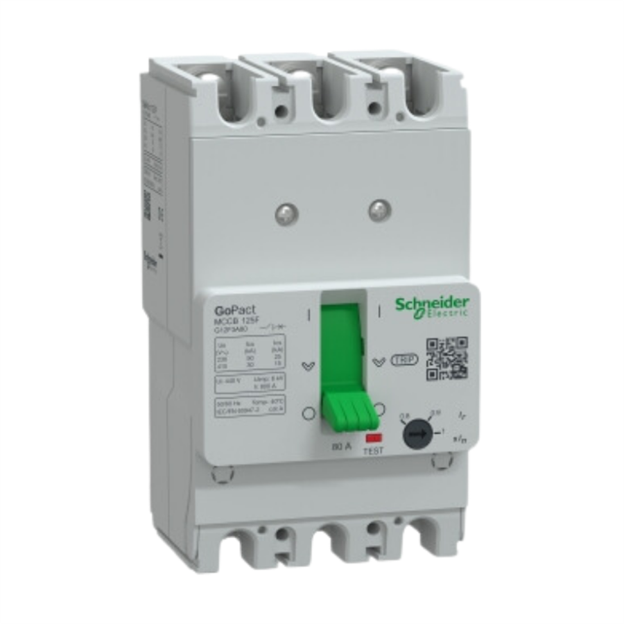 SCHNEIDER SCHG12F3A80 GOMCCB 125F 3P3D 80A Ayarlanabilir