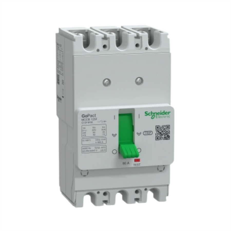 SCHNEIDER SCHG12F3F80 GOMCCB 125F 3P3D 80A Sabit