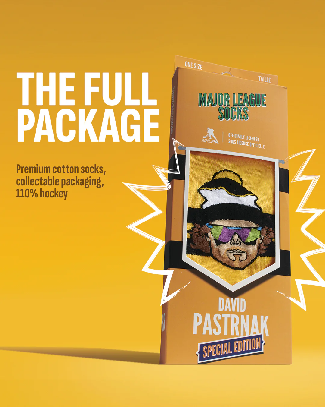 DAVID PASTRNAK SPECIAL EDITION Hokey Çorabı