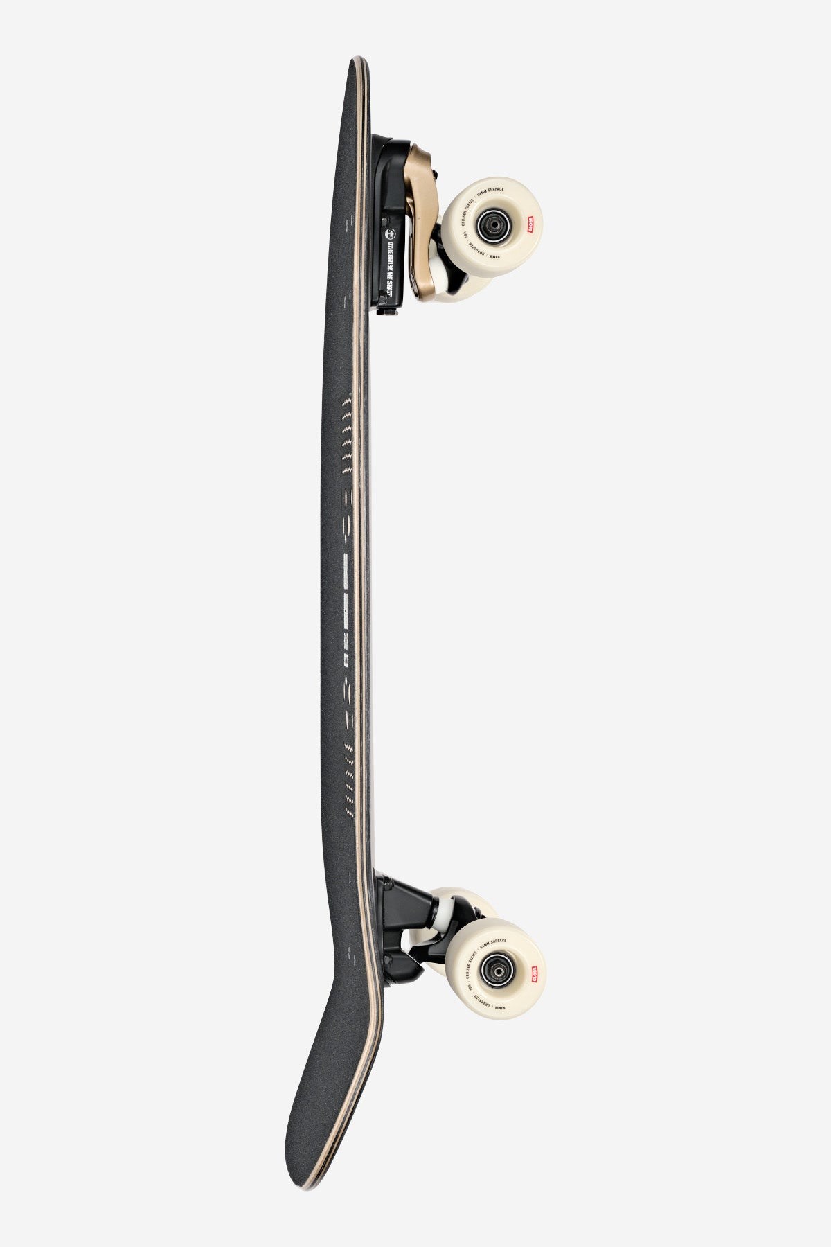 Globe WALRUS 31