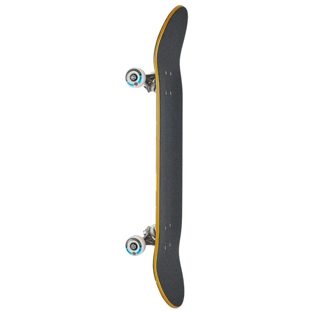 Push 8.25 Frosty FP Red Blue Skateboard Kaykay