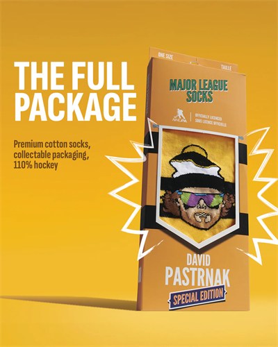 DAVID PASTRNAK SPECIAL EDITION Hokey Çorabı