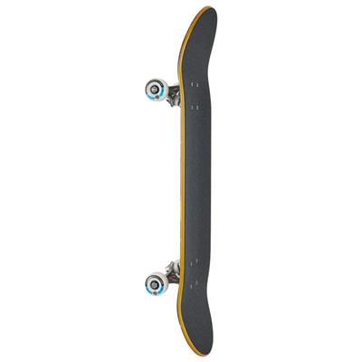 Push 8.25 Frosty FP Red Blue Skateboard Kaykay