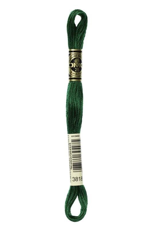Dmc Muline Nakış İpi 8 Metre | 3818