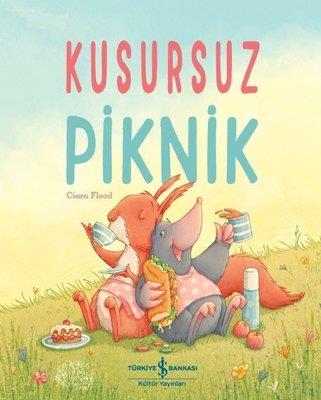 Kusursuz Piknik Ciara Flood İş Bankası Kültür Yayınları