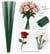 Yeşil Çiçek Teli 40 cm - 10'lu Paket (Çiçek Sapı / Çiçekçilik Teli)