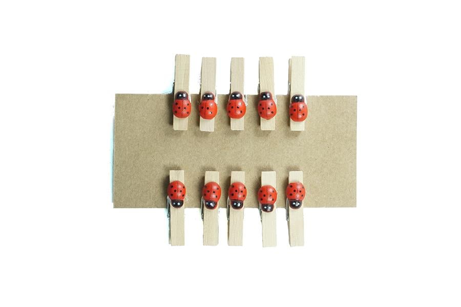 Ahşap Mandal Uğur Böceği Figürlü