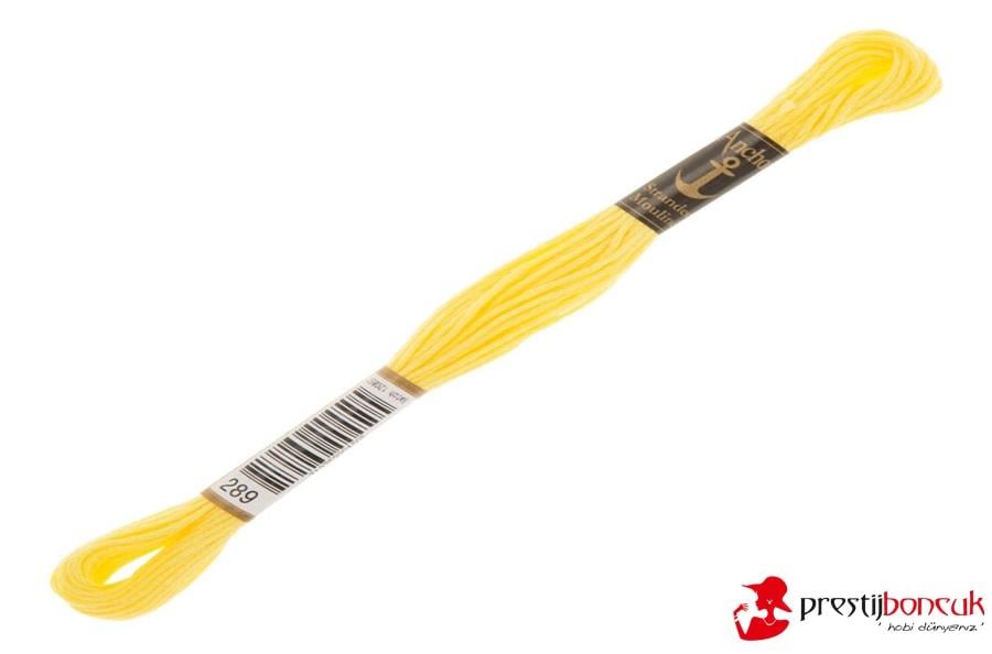 Anchor Muline Nakış İpliği 0289