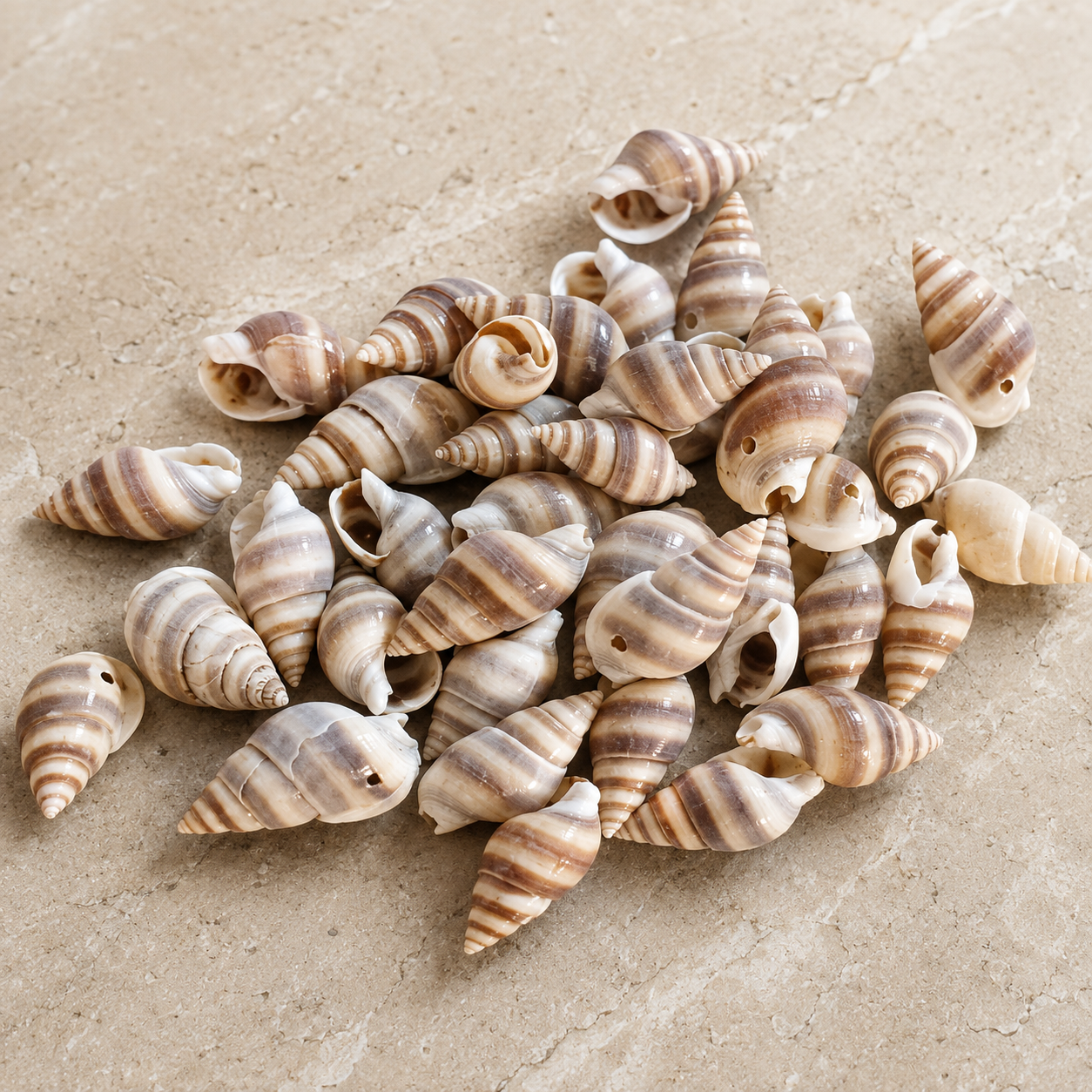 Doğal Delikli Midye Kabuğu Boncuğu – 18–20 mm – 40 gr (Yaklaşık 85–90 Adet)