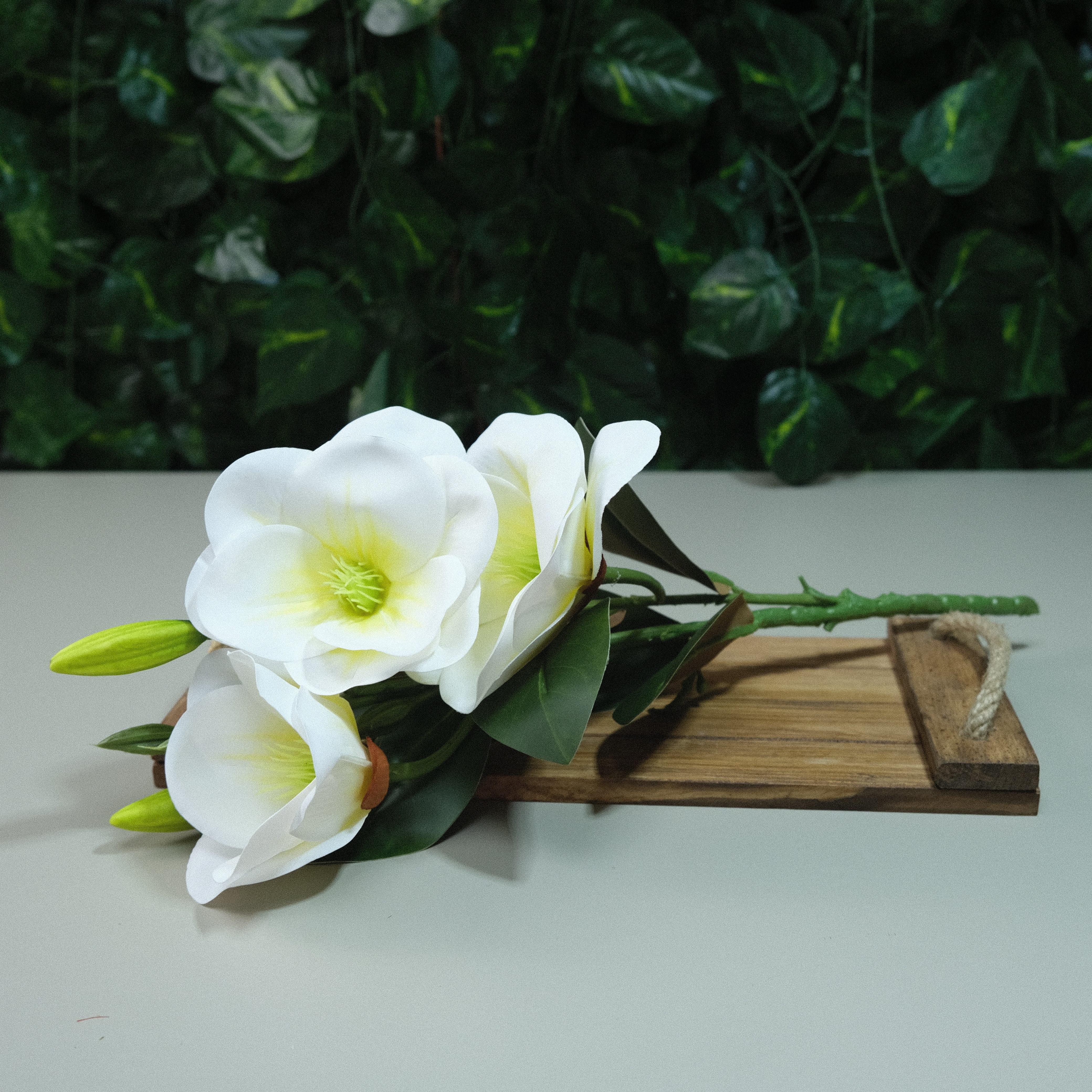 Gerçek Dokulu Manolya 3 Dal Tomurcuklu Beyaz Islak Manolya Demeti 43 cm