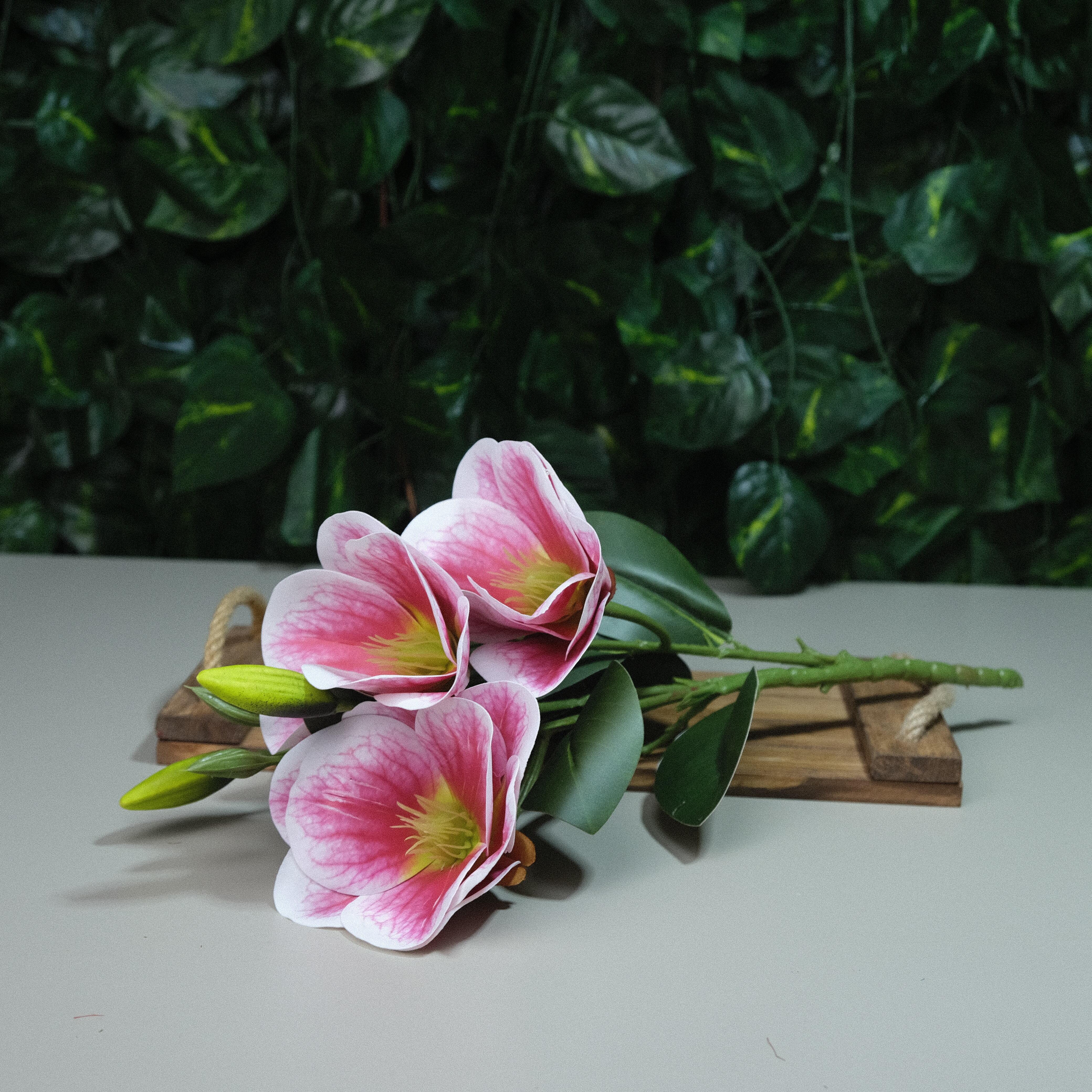 Gerçek Dokulu Manolya 3 Dal Tomurcuklu Pembe Damarlı Islak Manolya Demeti 43 cm