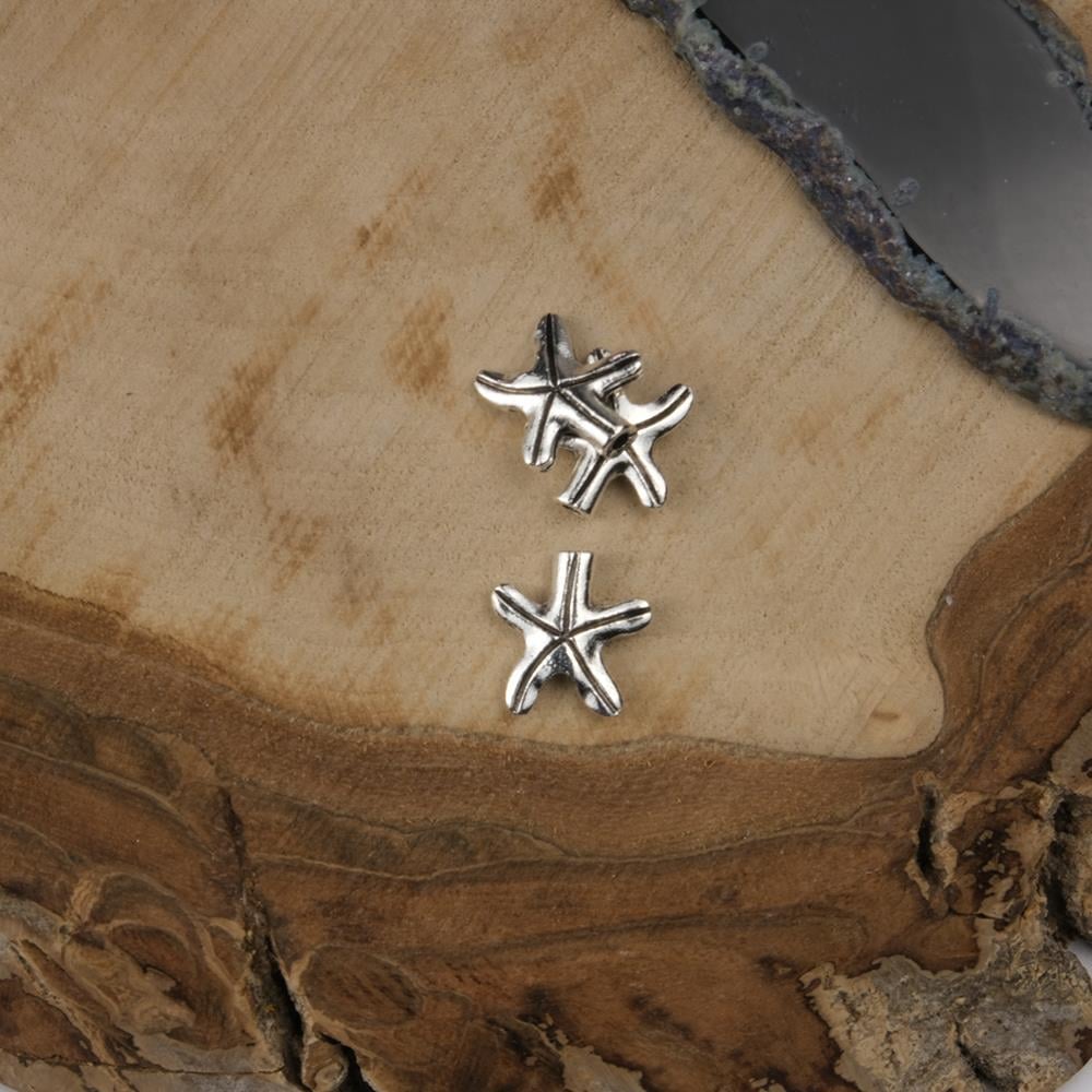 Gümüş Metal Halkalı Denizyıldızı Takı ve Aksesuar Aparatı