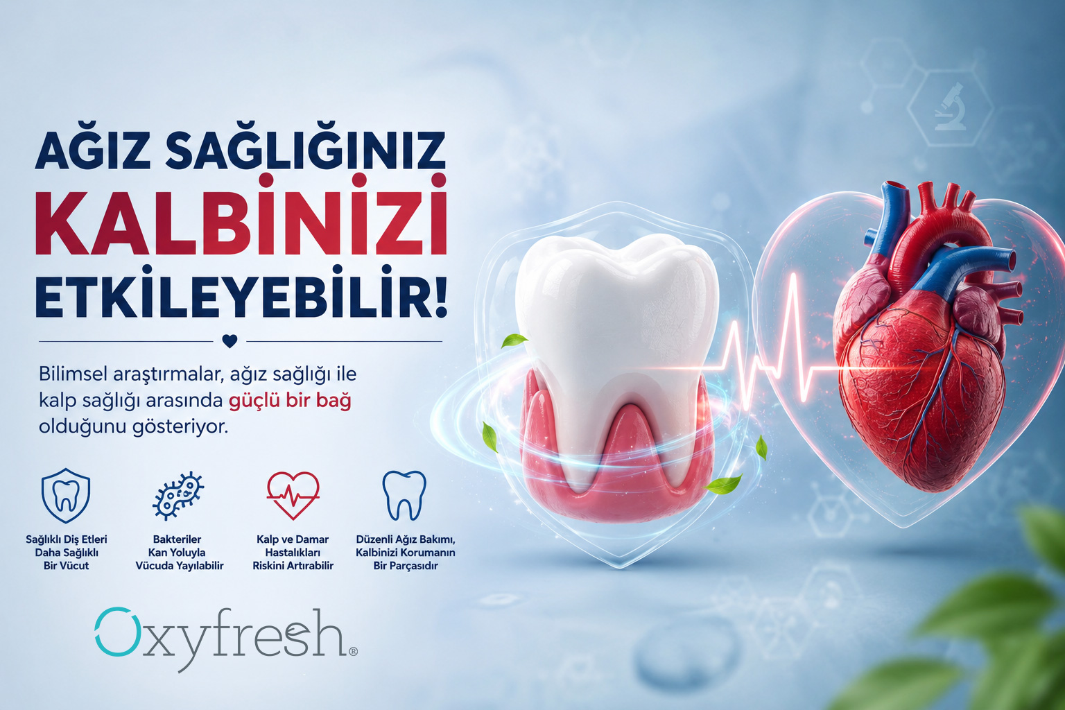 Ağız sağlığı kalp sağlığı ilişkisi,Diş eti hastalığı,Kardiyovasküler hastalık,Ağız bakterileri