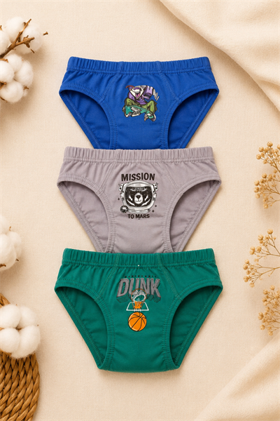 Erkek Çocuk 3 lü Slip Set- Asorti (3-12 yaş aralığı)