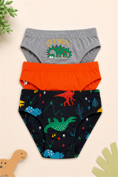 Erkek Çocuk 3 lü Slip Set- Dinazor Desen  (3-10yaş aralığı)