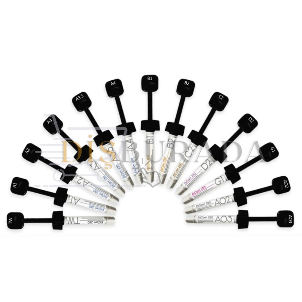 Spident Escom 250 Nanohibrit Kompozit