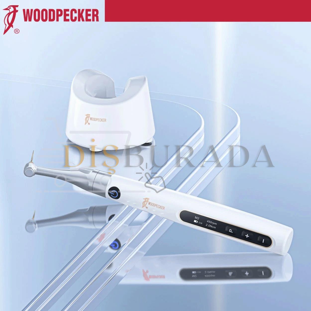 Woodpecker EndoPace Endomotor