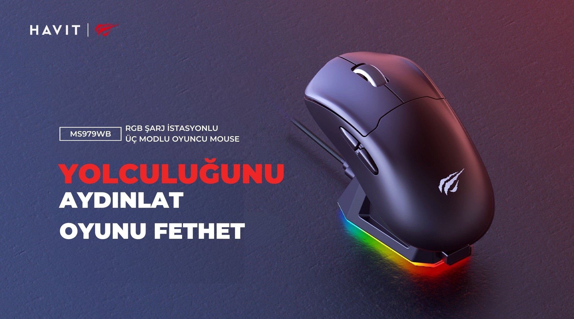 Havit MS979WB