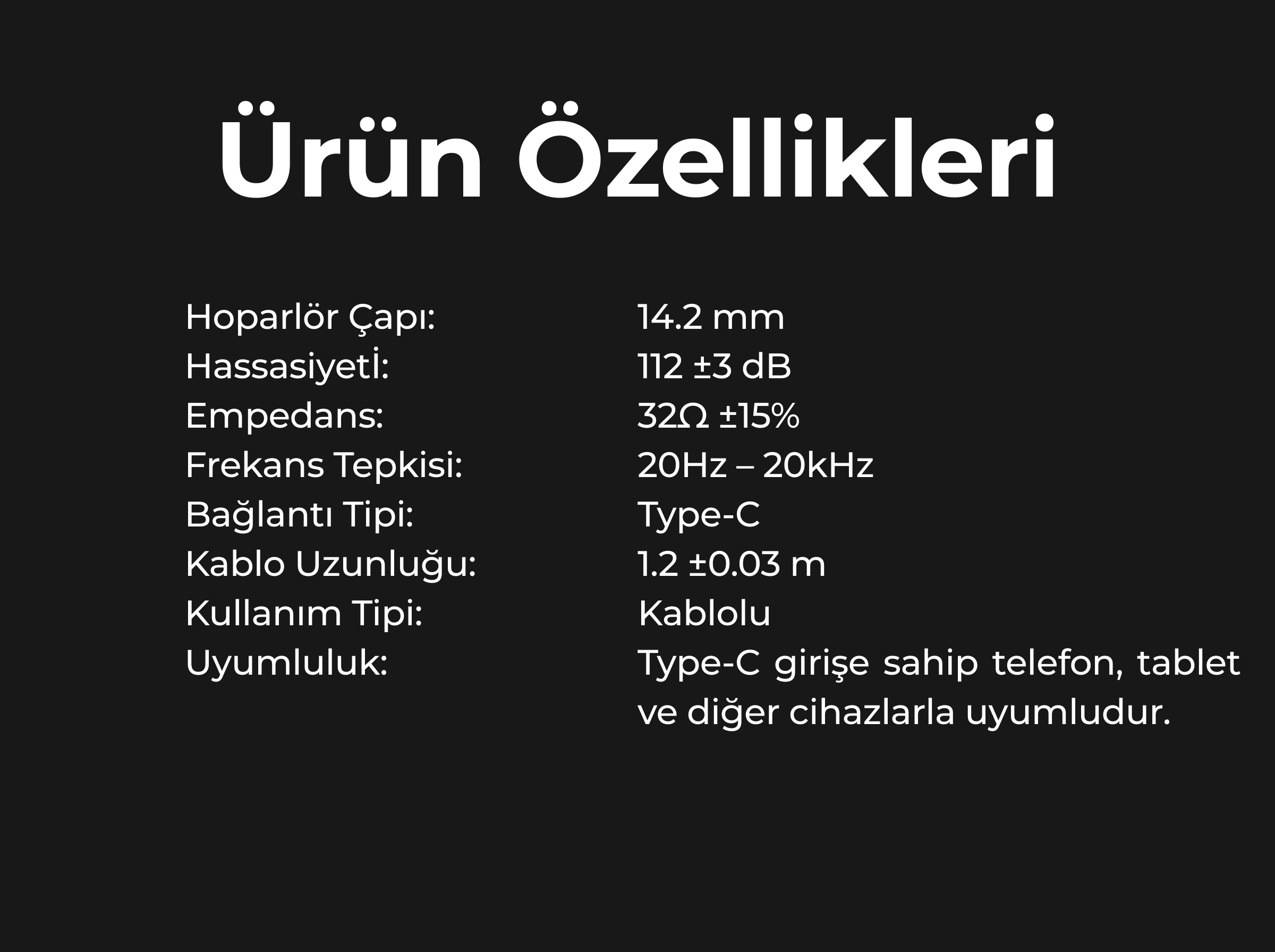 Havit E336C Type-C Kablolu Kulak İçi Kulaklık