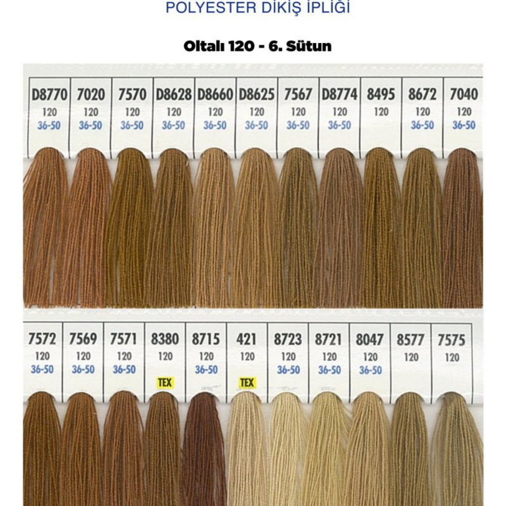 OLTALI 120 6.SÜTUN 