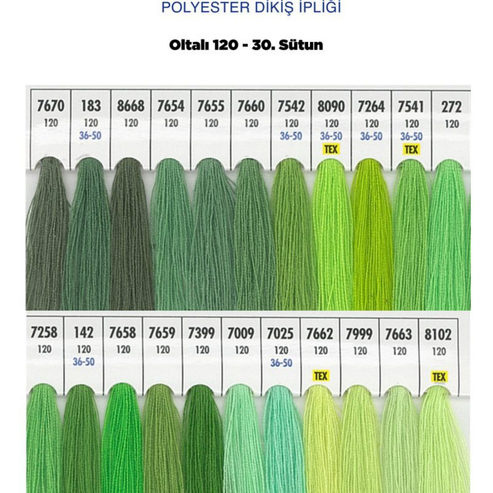OLTALI 50 NO 30. SÜTUN