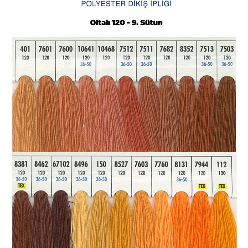 OLTALI 50 NO 9. SÜTUN