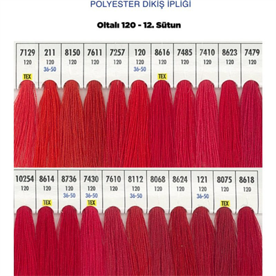 OLTALI 120 12.SÜTUN 