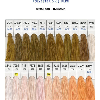 OLTALI 120 8.SÜTUN 