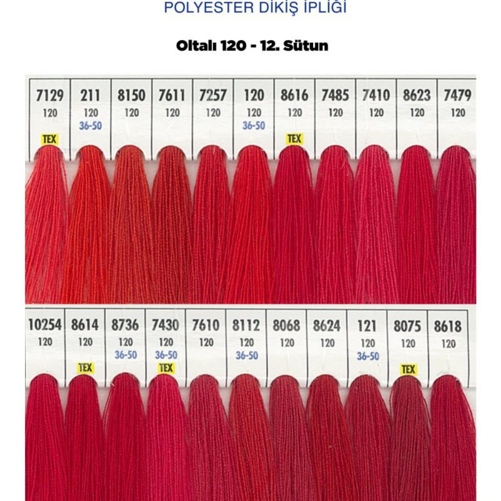 OLTALI 50 NO 12. SÜTUN