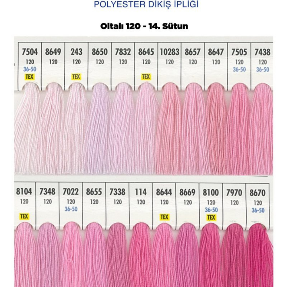 OLTALI 50 NO 14. SÜTUN