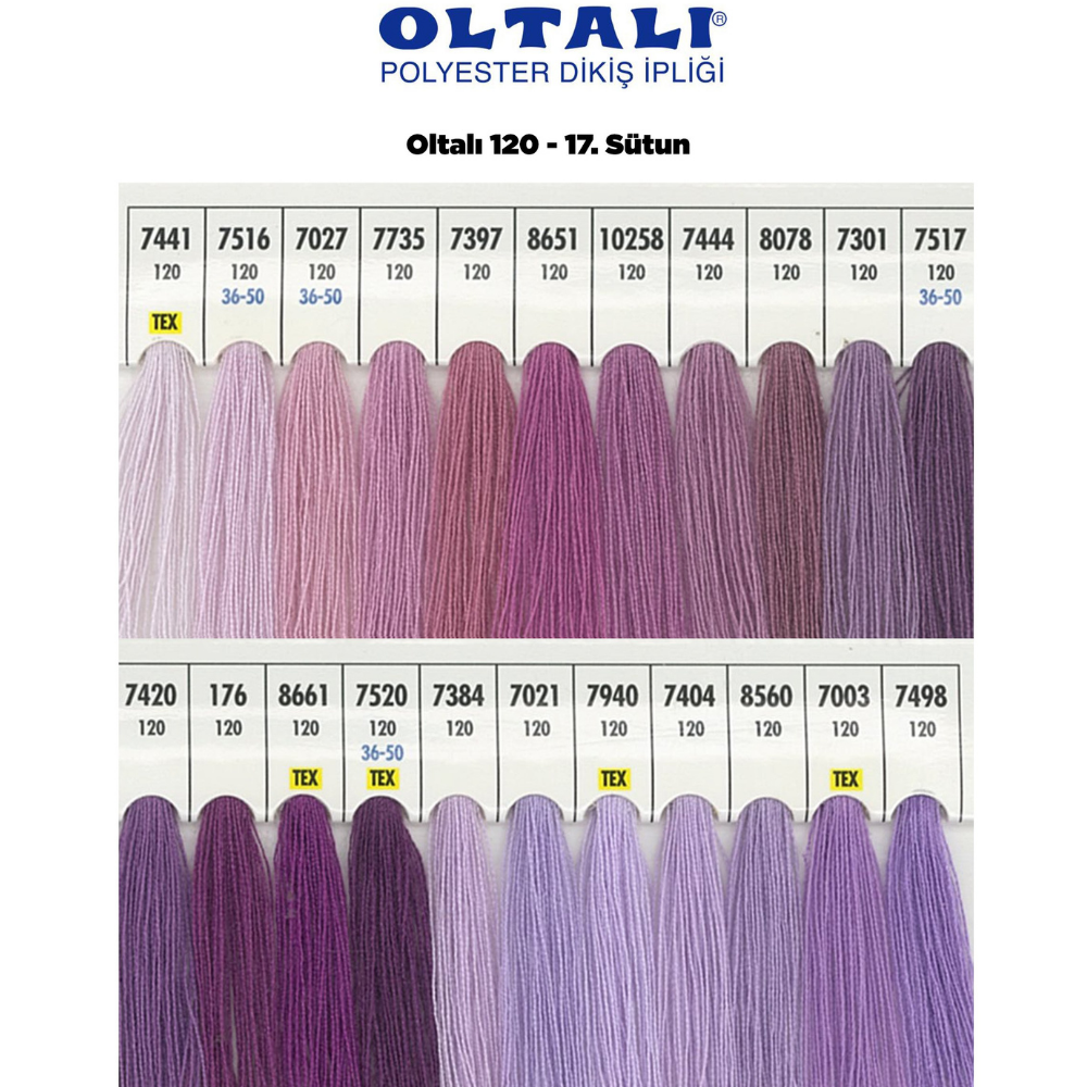 OLTALI 50 NO 17. SÜTUN