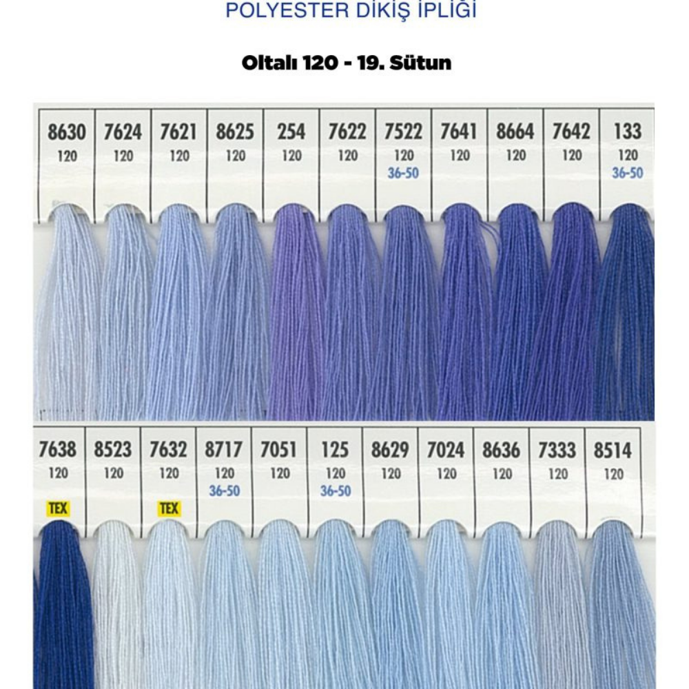 OLTALI 50 NO 19. SÜTUN