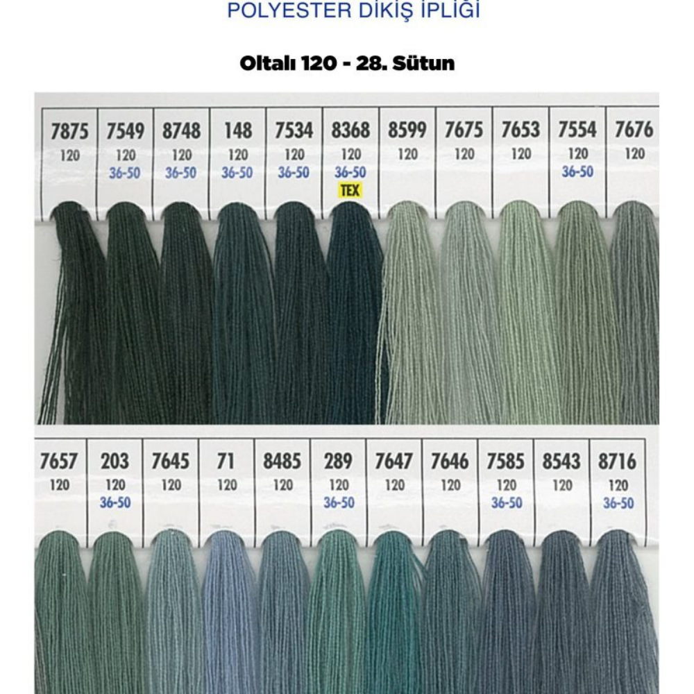 OLTALI 50 NO 28. SÜTUN