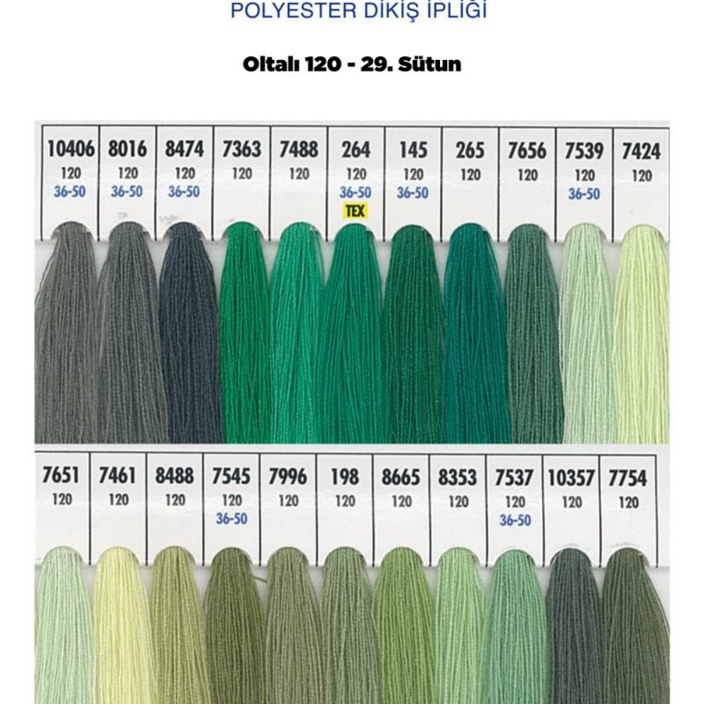 OLTALI 50 NO 29. SÜTUN