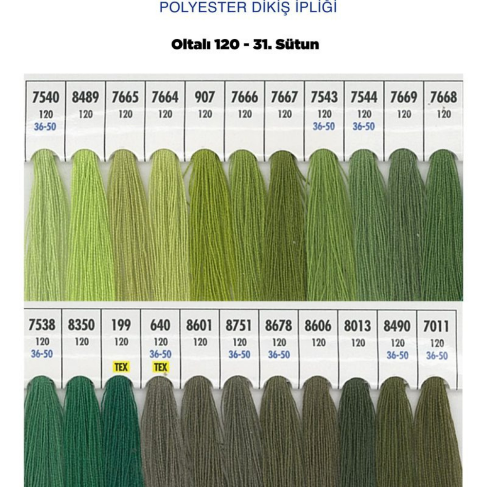 OLTALI 50 NO 31. SÜTUN